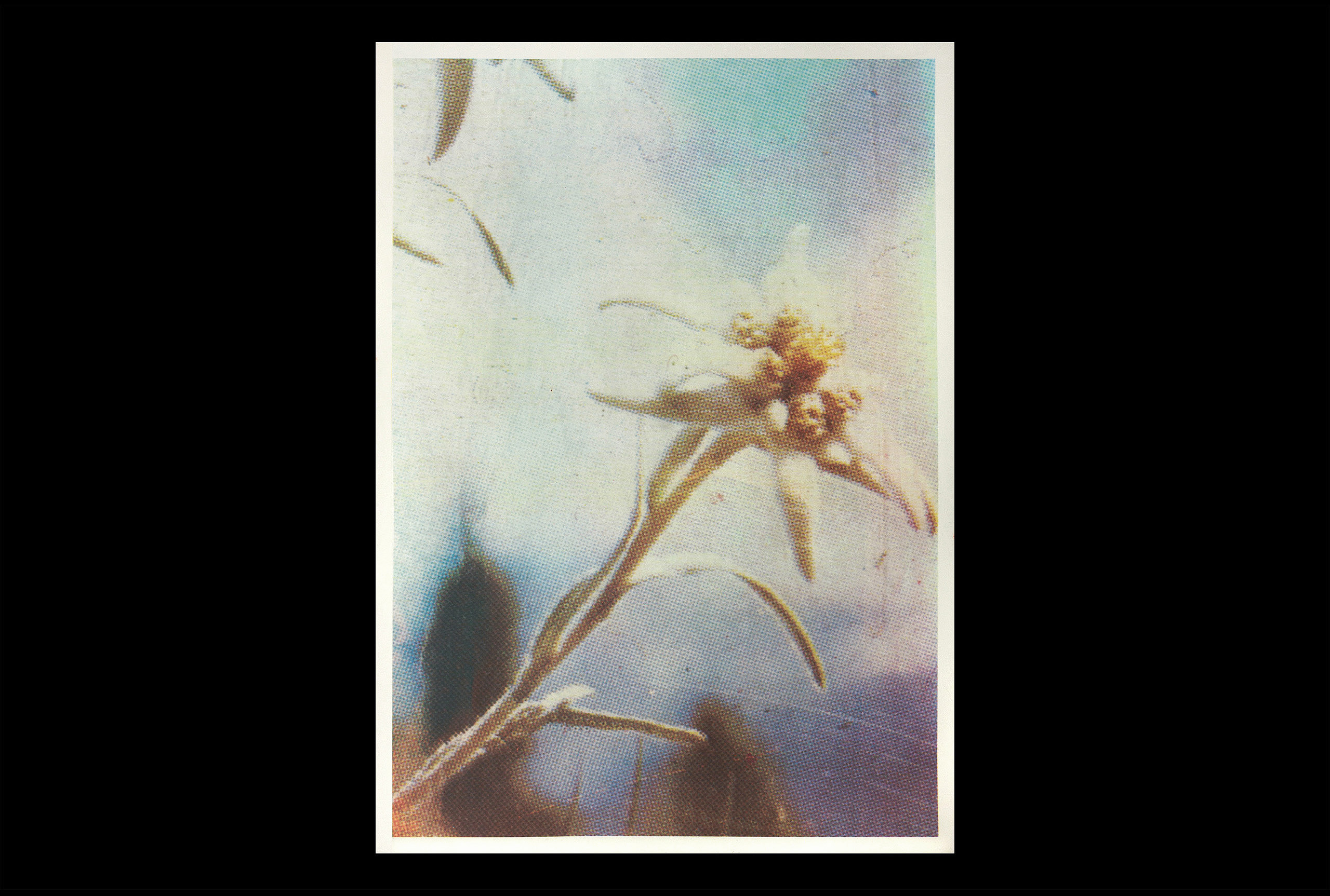 Alexandre De Sousa Studio design graphique