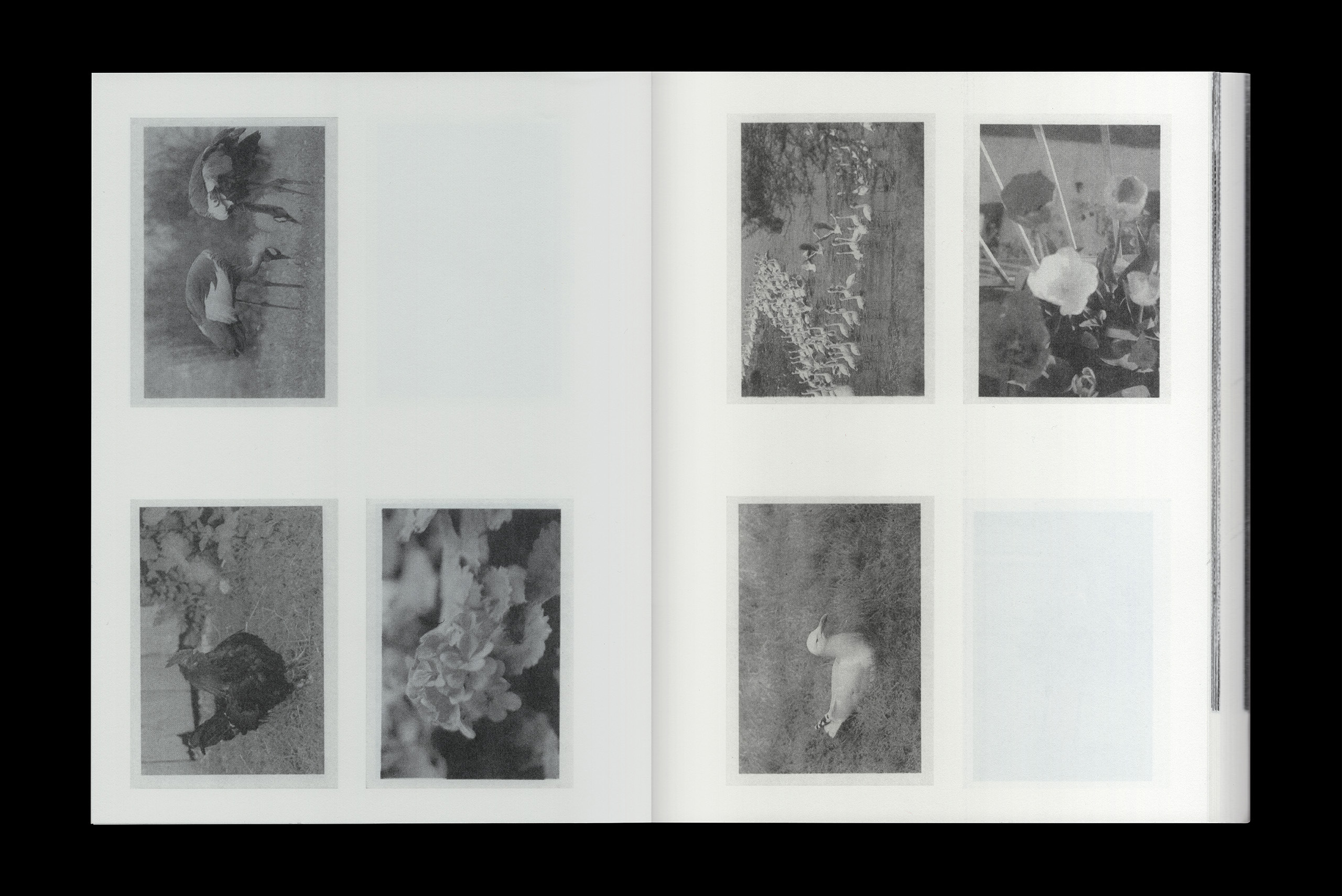 Alexandre De Sousa Studio design graphique