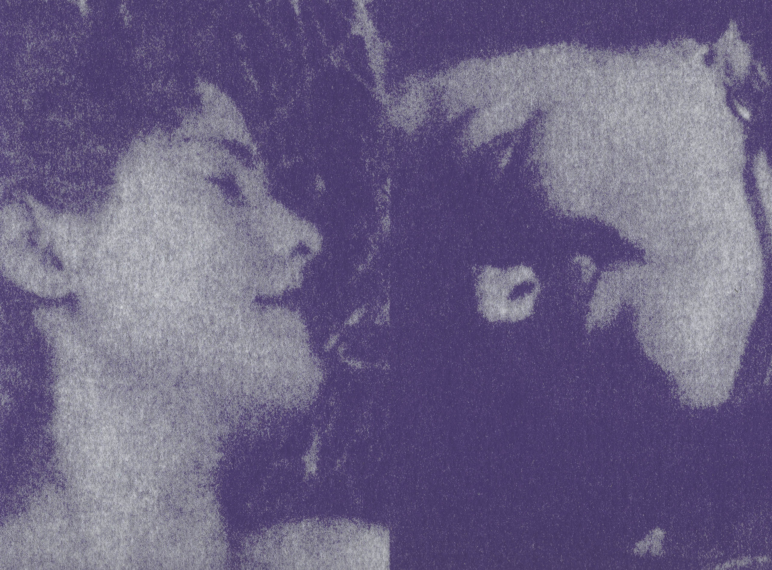 Alexandre De Sousa Studio design graphique